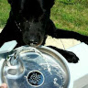 Meet your Posher, Craig